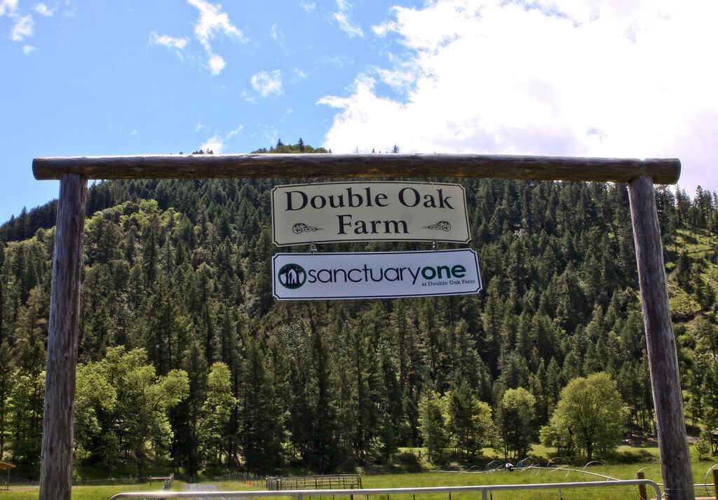 Sanctuary One Farm Tour  image