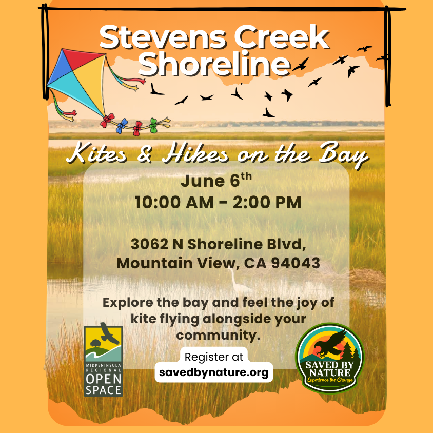 Community Nature Hike - Kite Flying at Stevens Creek Shoreline image