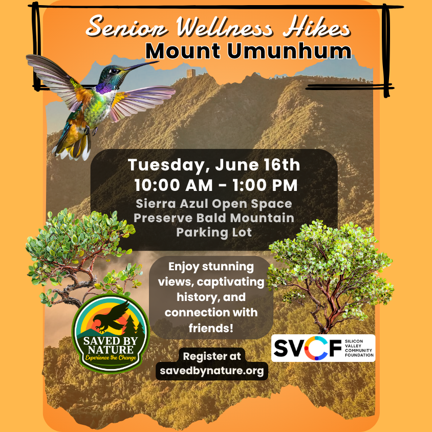 Senior Wellness Hike - Mount Umunhum  image