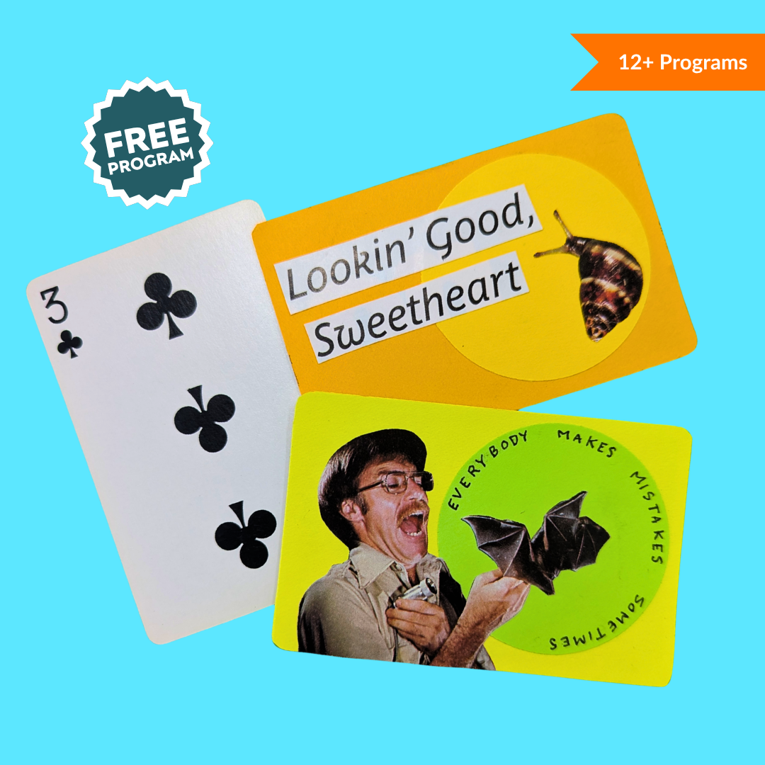 '26 May | Create & Connect | Affirmation Decks image