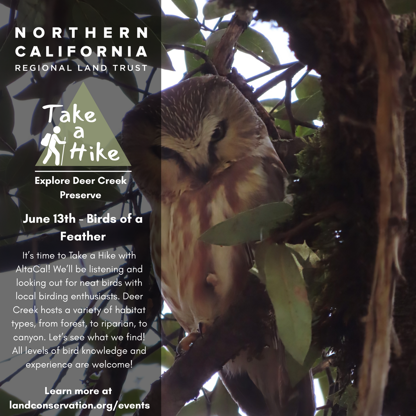 Take a Hike: Birds of a Feather with Altacal Bird Alliance image