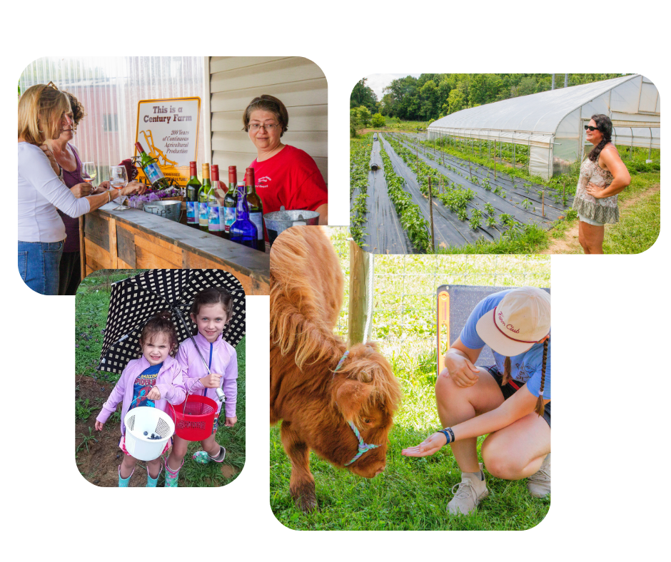 Volunteer Farm Tour - June 13, 2026 image