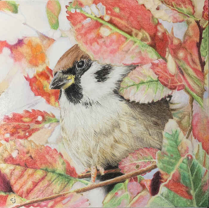 2026-A2 - Introduction to Colored Pencil Workshop with Carol Joannette image