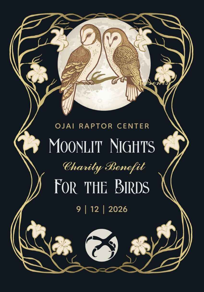 Moonlit Nights: Benefit for the Birds image