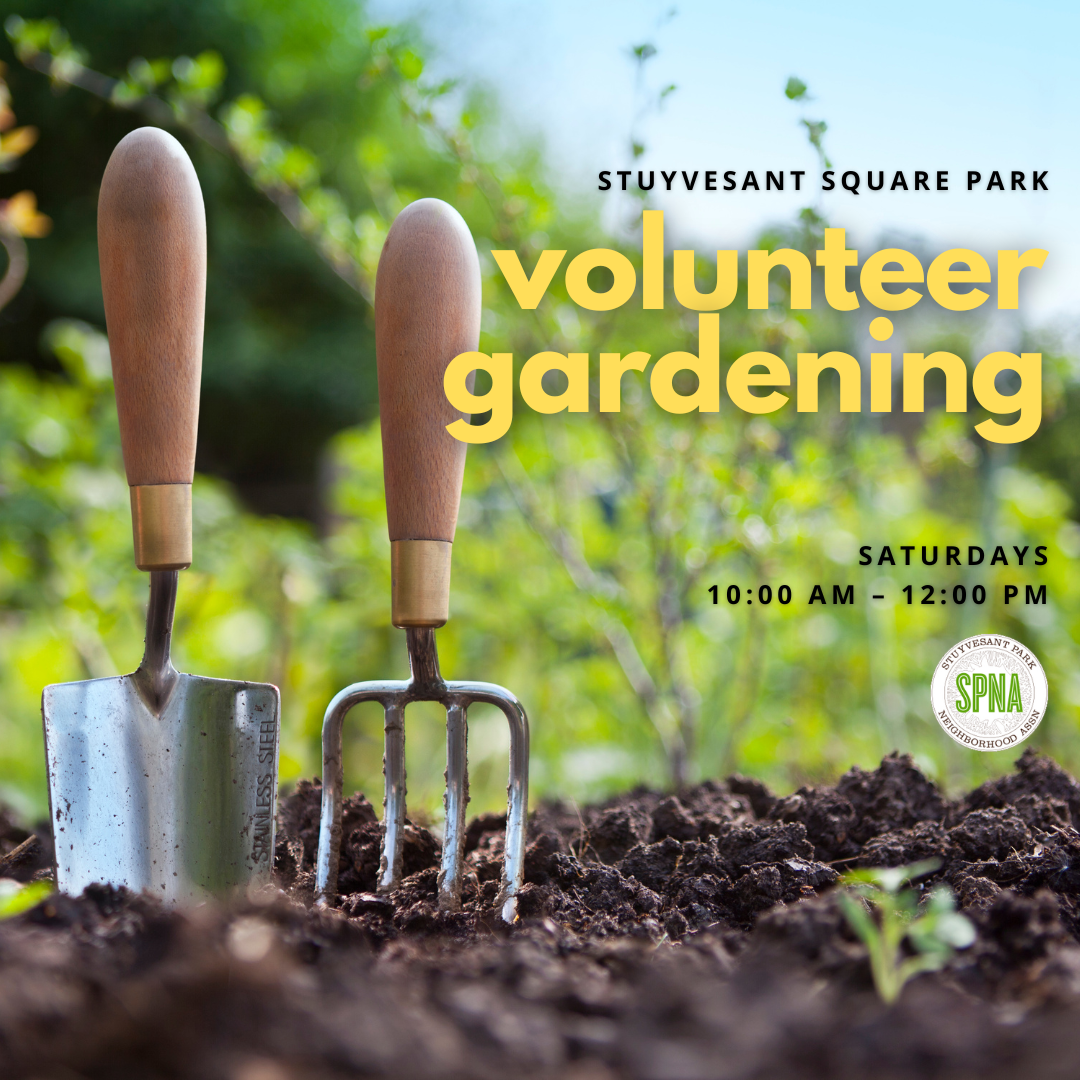 Volunteer Gardening Saturdays image