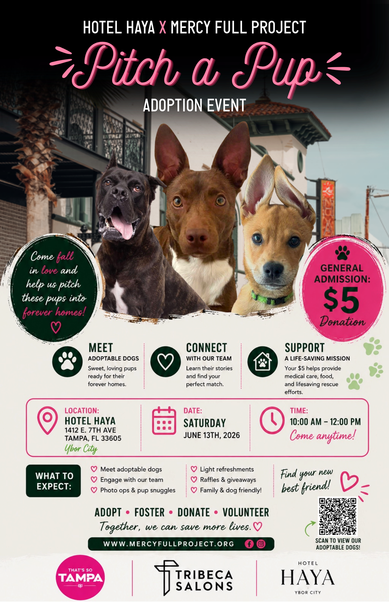 PITCH-A-PUP SPEED DATING / ADOPTION EVENT image