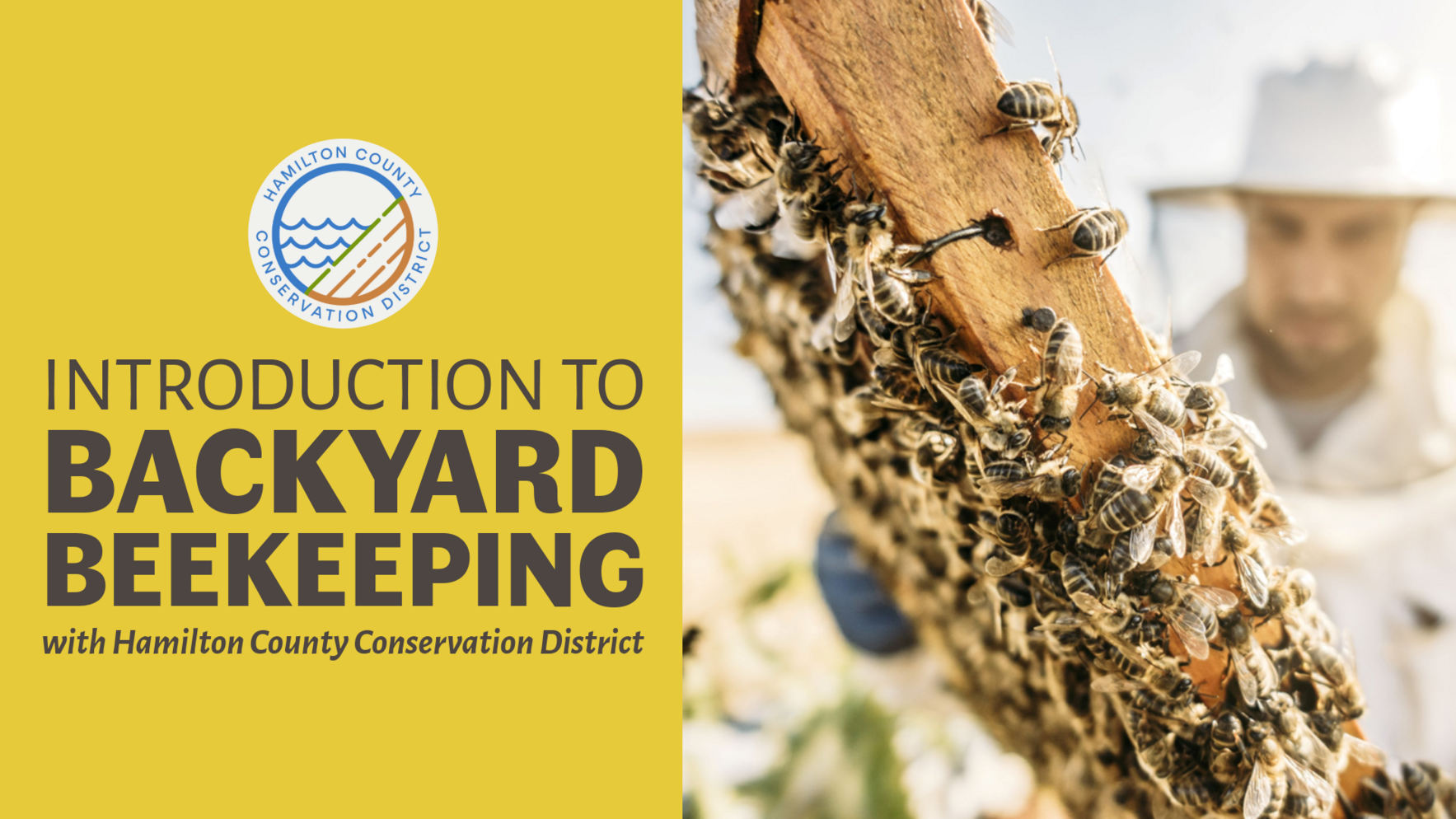 Introduction to Backyard Beekeeping image