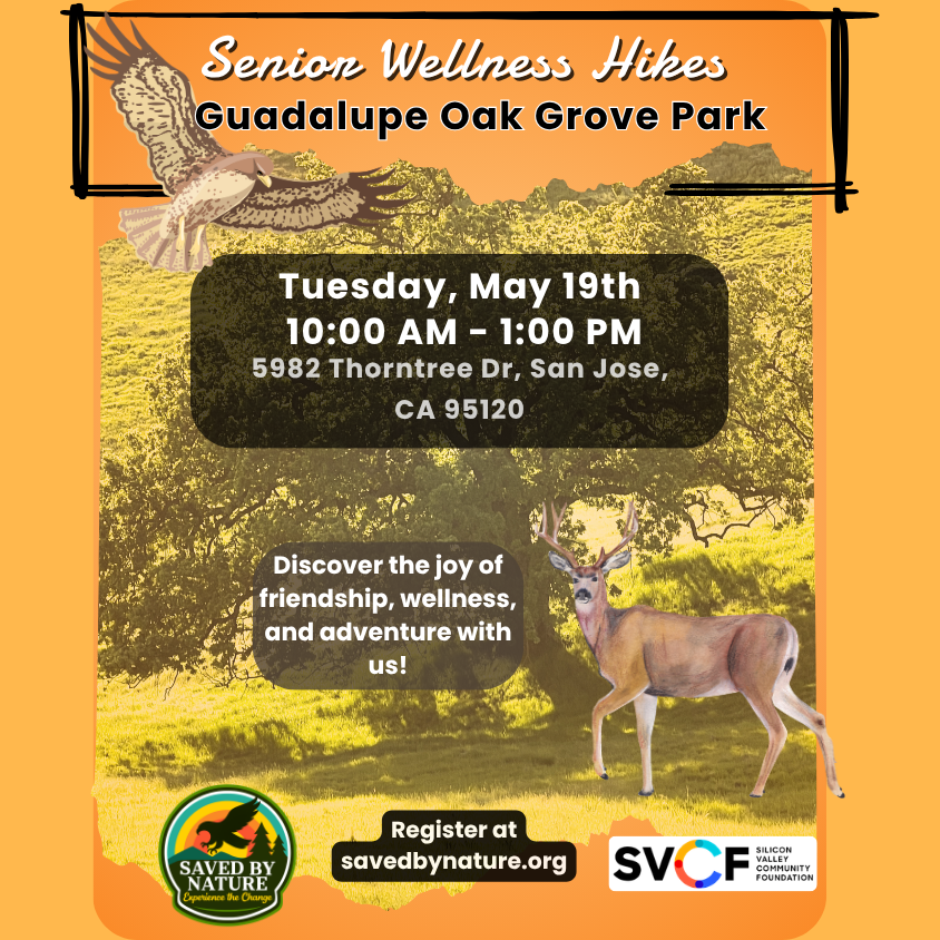 Senior Wellness Hike - Guadalupe Oak Grove Park image
