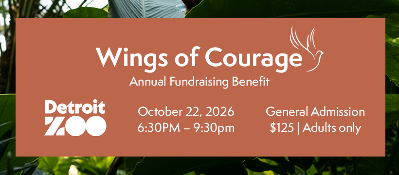 Wings of Courage 2026 image