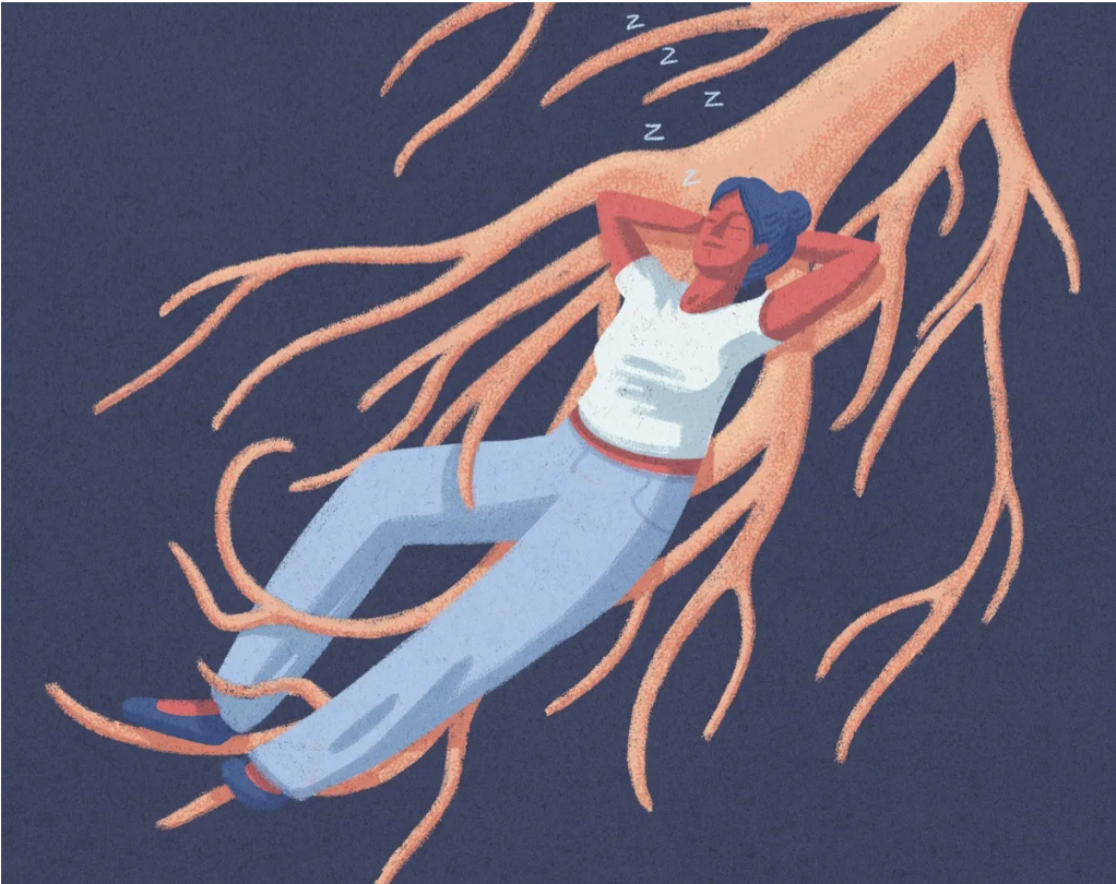 Somatic Body — Mind Awareness: An Embodied Exploration image