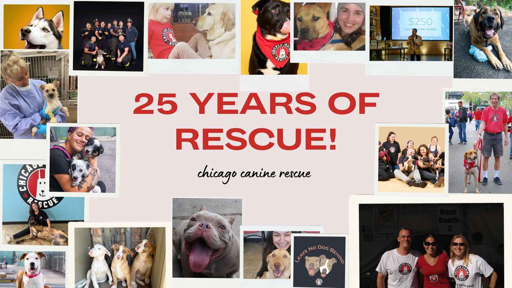 ✨ CCR Alumni Homecoming at PupSocial ✨ image