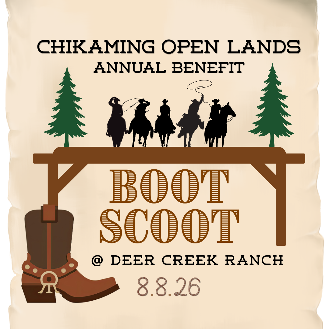 Annual Benefit: Boot Scoot at Deer Creek Ranch image