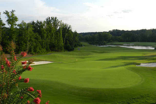 Benjamin The Brave Silent Auction & Charity Golf Event  image