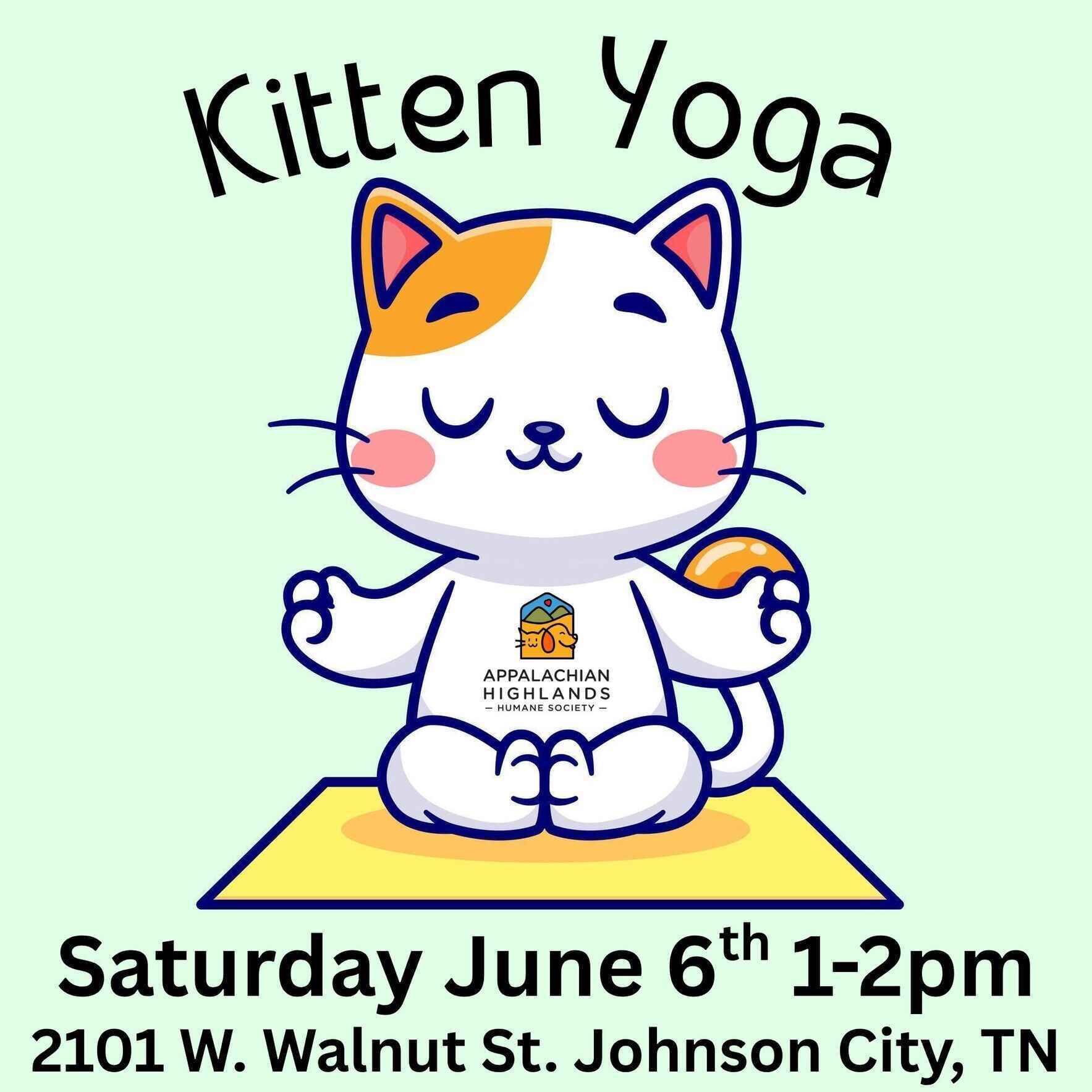 Kitten Yoga image