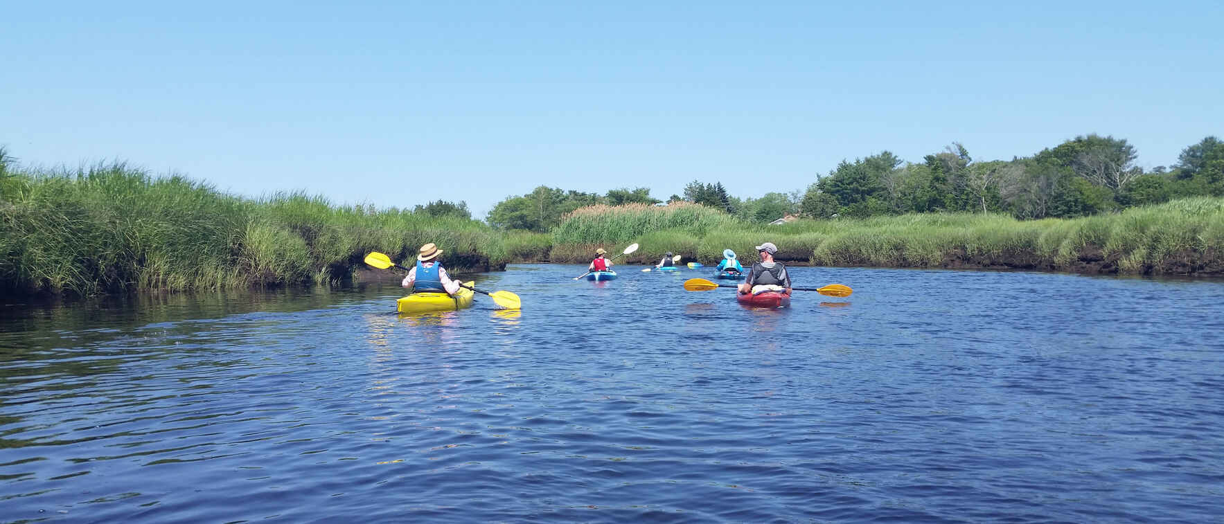 Marsh Habitat Exploration - Guided South River Paddle image