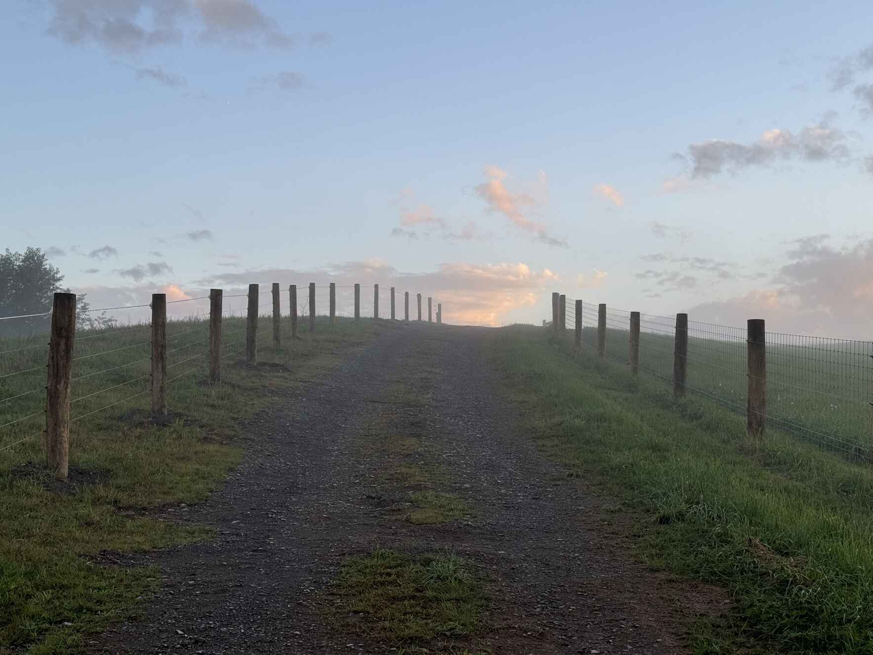 5K Trail Blazer Forever Home Event image