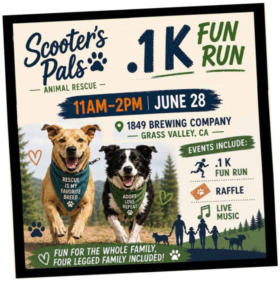 Scooter's Pals  .1K  Fun Run image