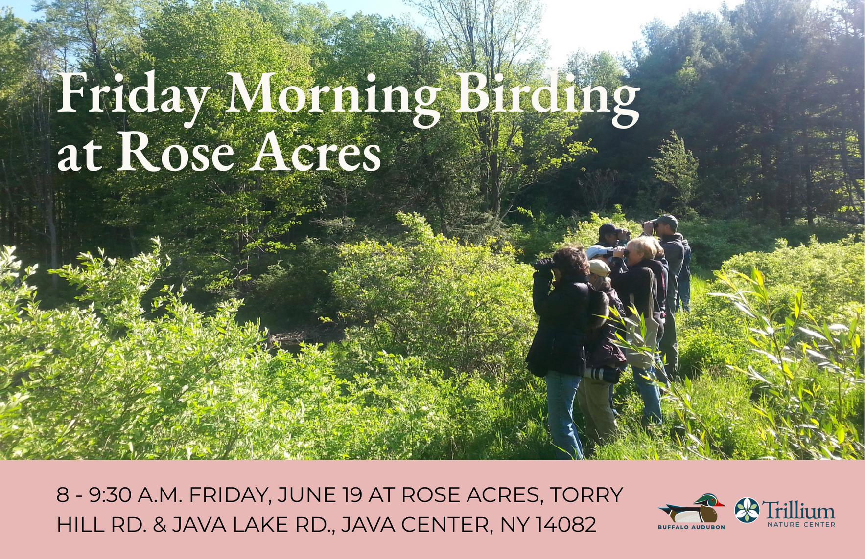Friday Morning Birding- Rose Acres - June 19th image