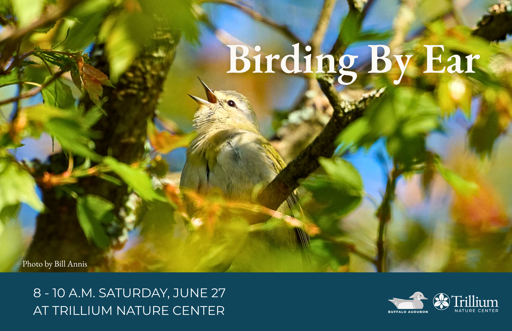 Birding By Ear - Beaver Meadow image