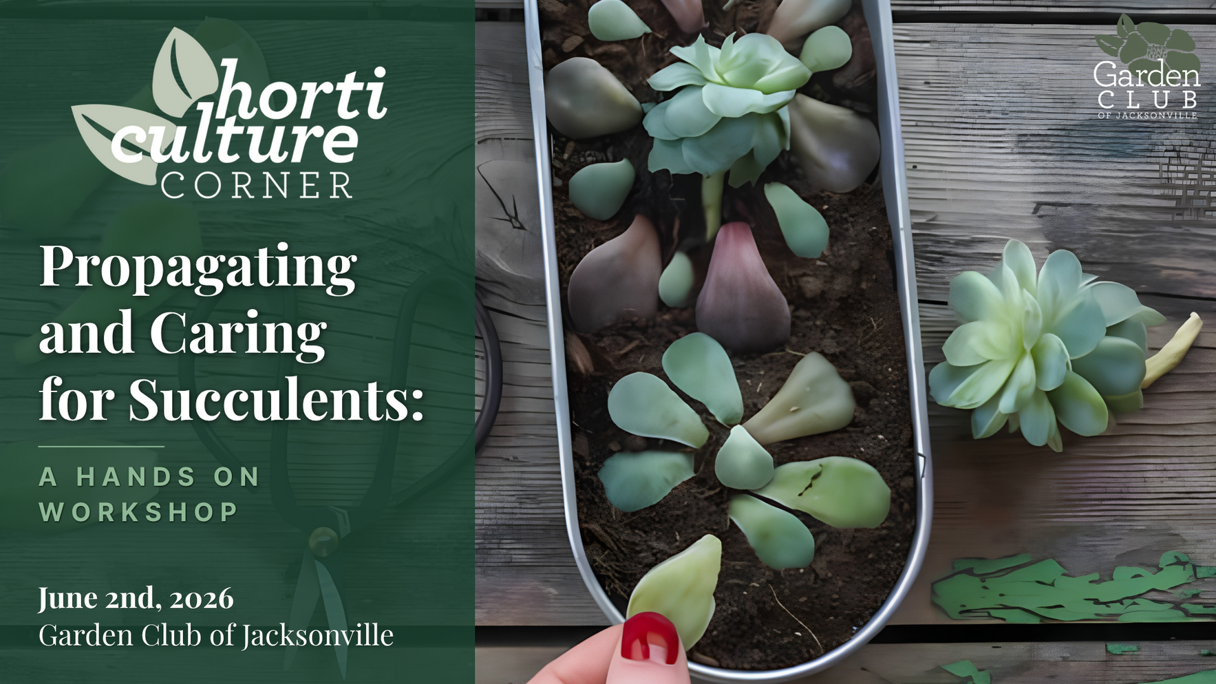 Horticulture Corner: Propagating and Caring for Succulents | A Hands On Workshop image
