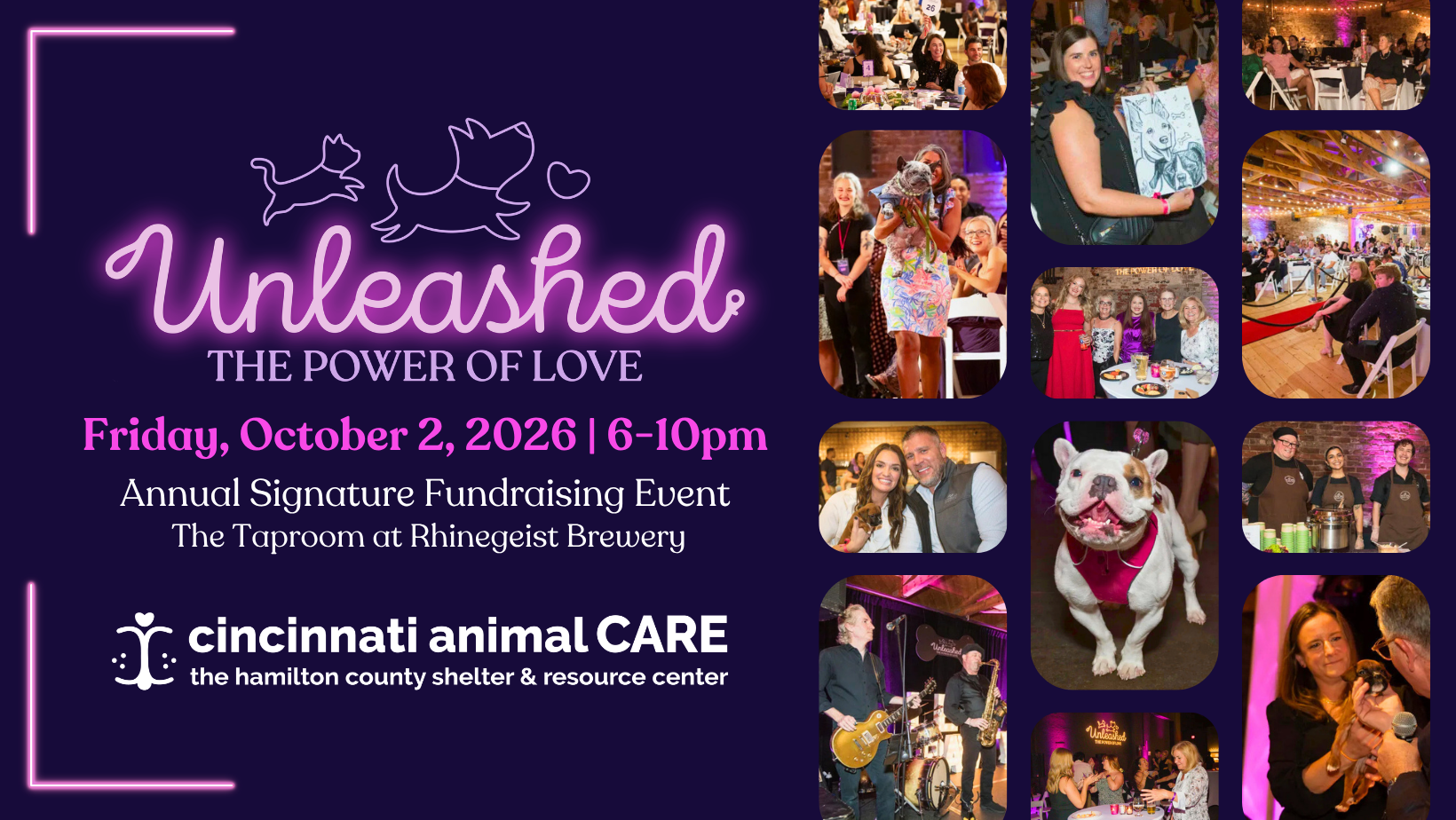 Unleashed: The Power of Love 2026 image