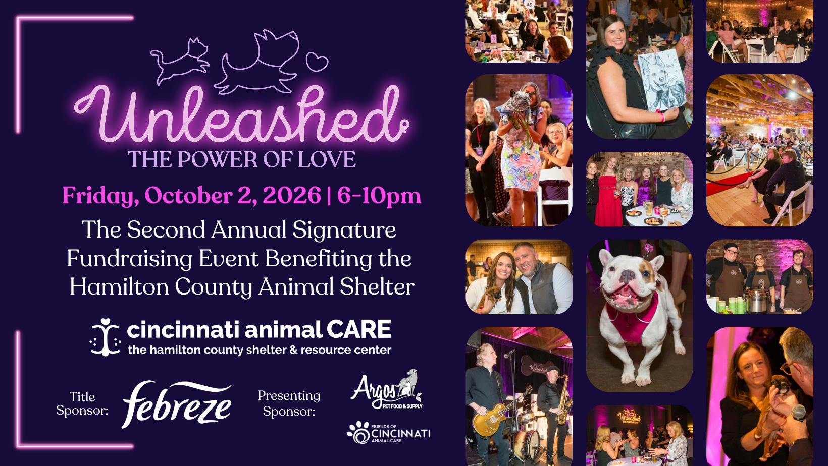 Unleashed: The Power of Love 2026 image