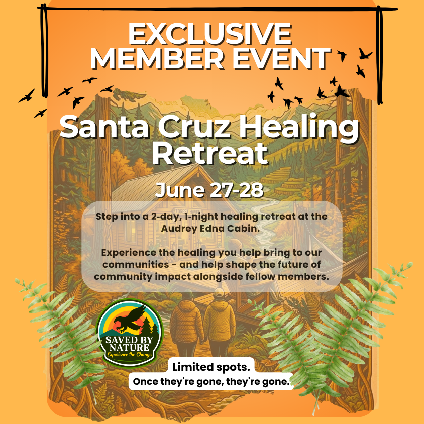 Members-Only Trip to the Santa Cruz Healing Retreat image