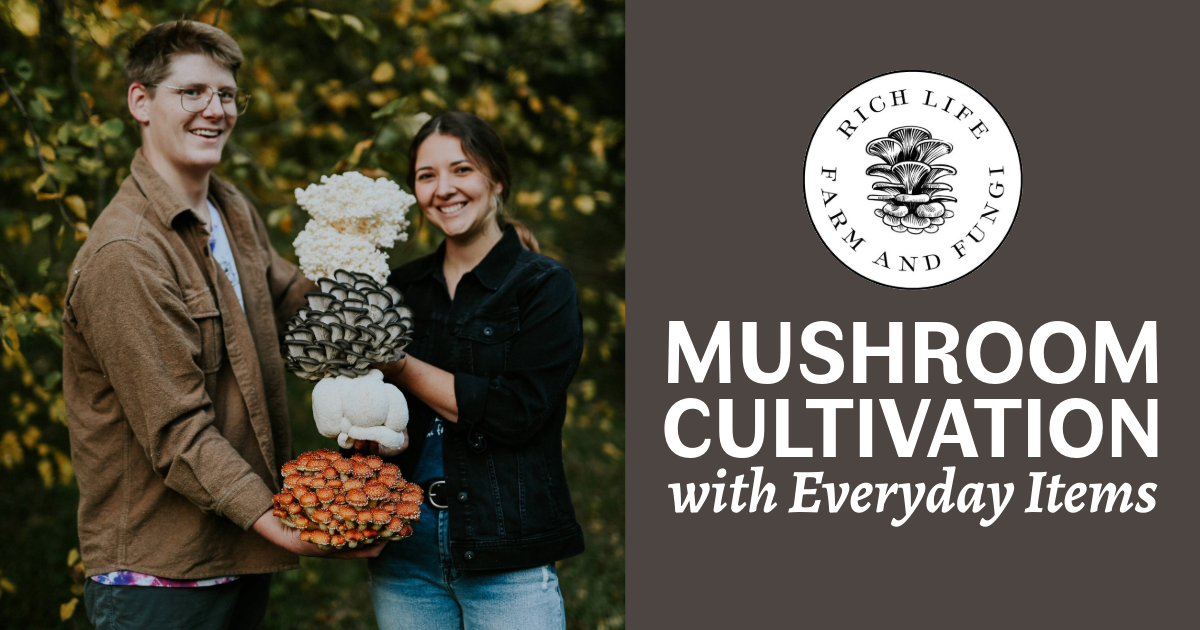 Mushroom Cultivation with Everyday Items image