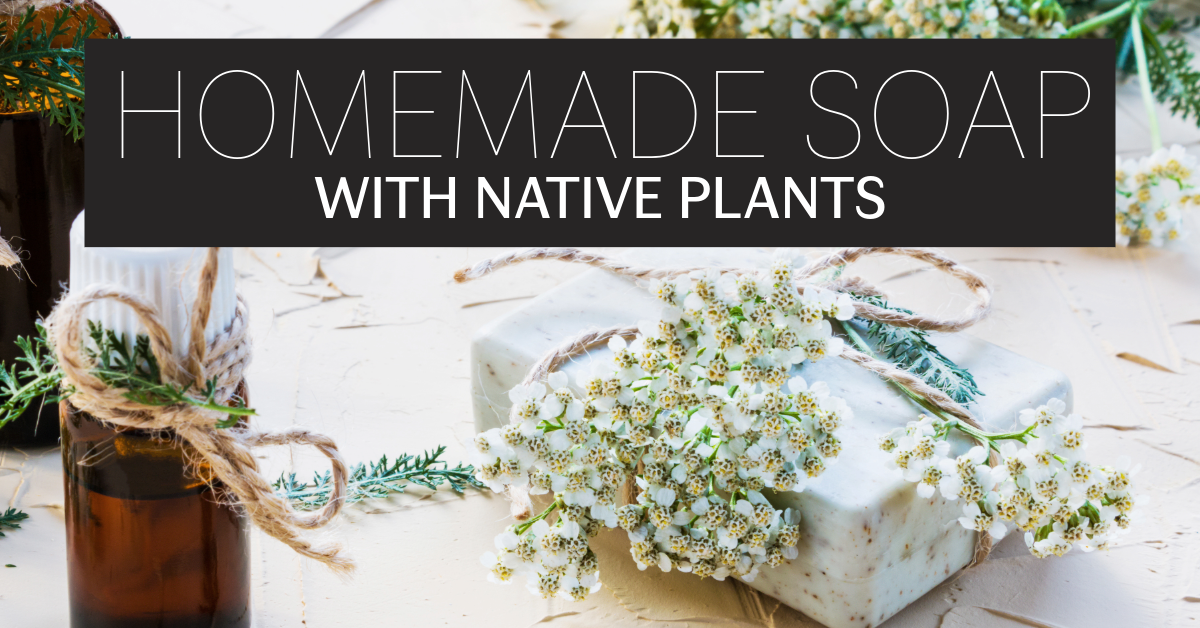 Homemade Soaps with Native Plants image