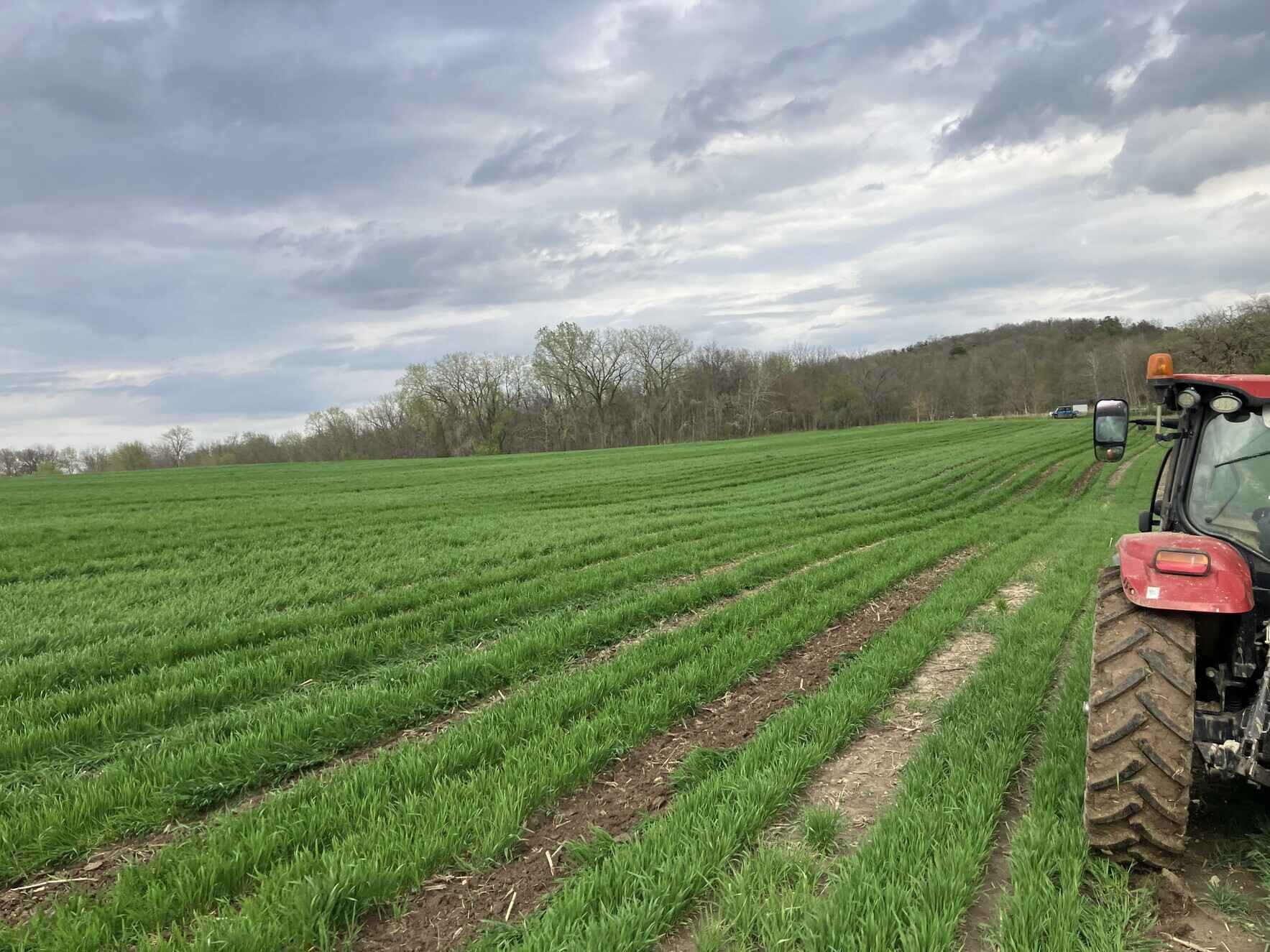 Relay Cropping Field Day image