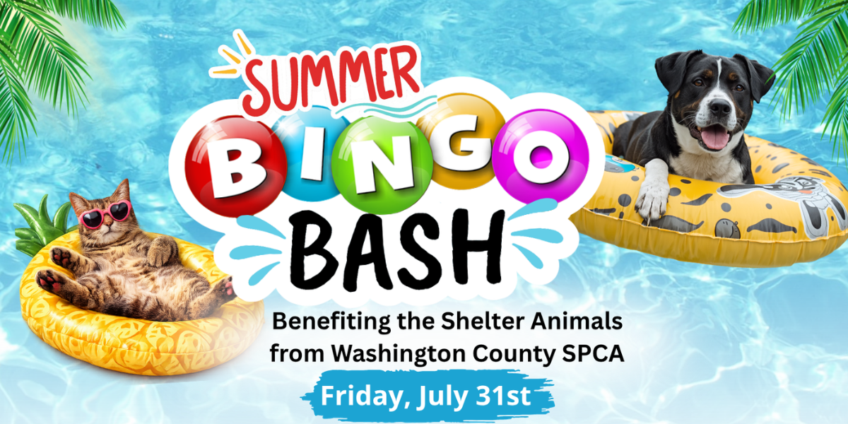 2026 Summer BINGO Bash image