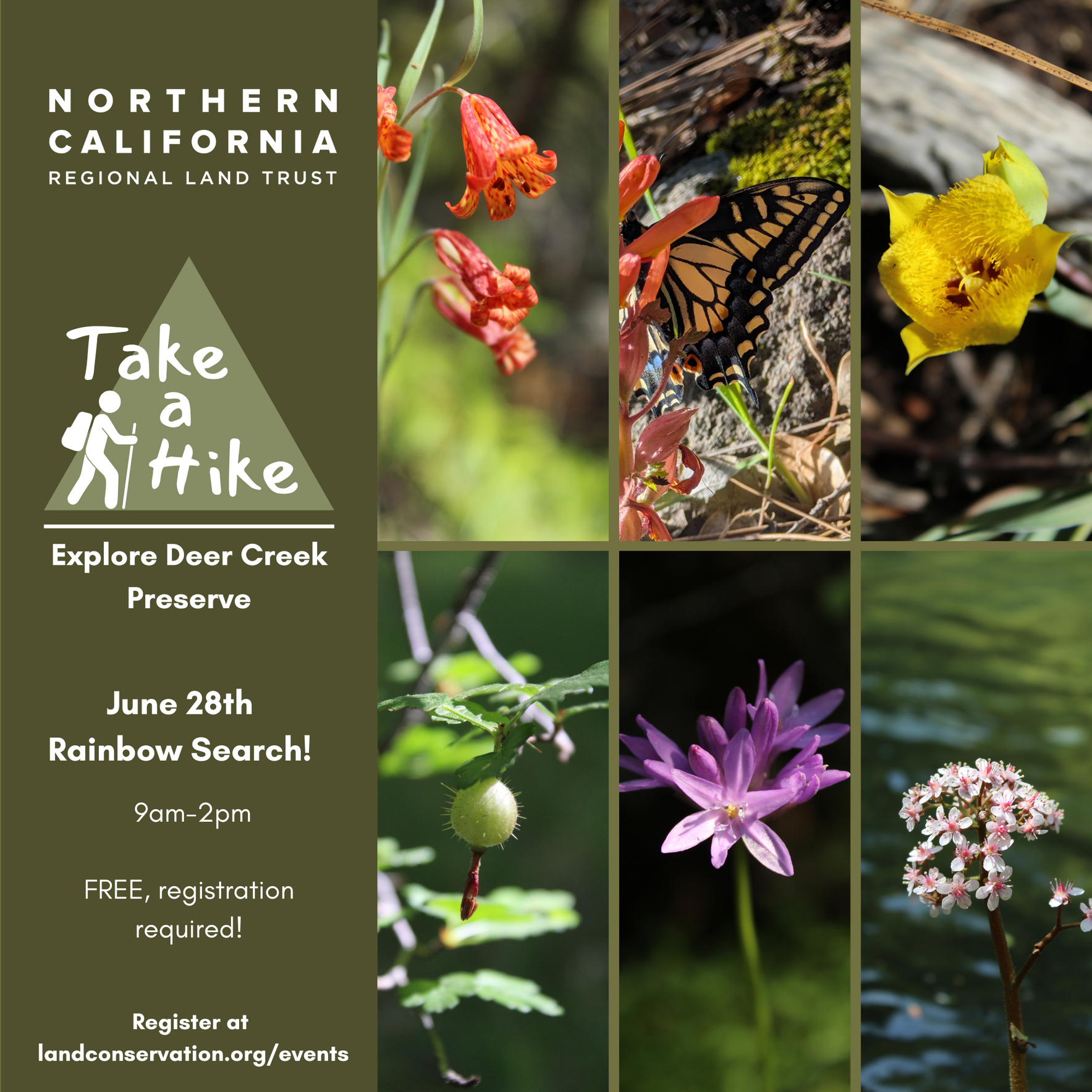 Take A Hike: Rainbow Search! image