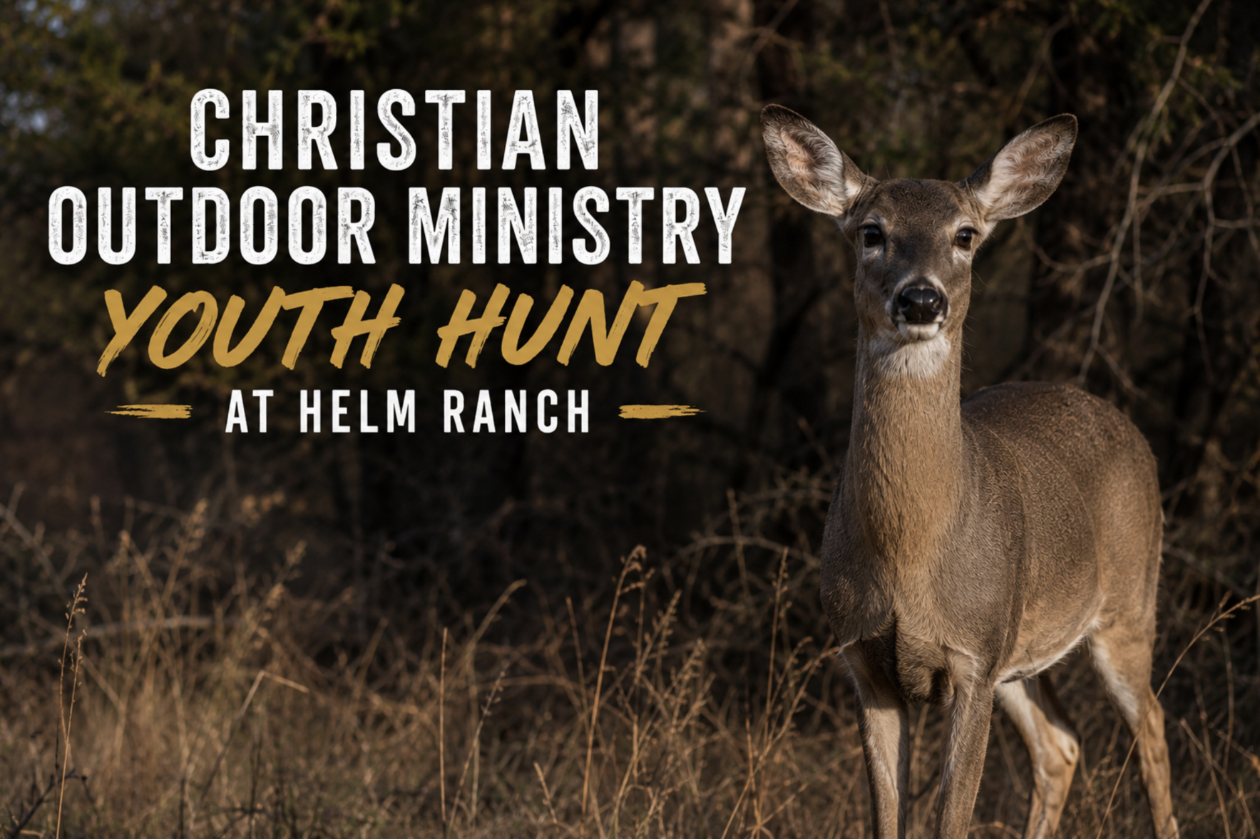 COM Youth Hunt at Helm Ranch - Nov. 20-22 - Deer image