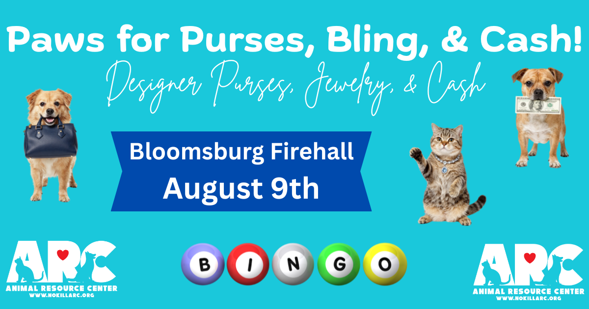Paws for Purses, Bling, & Cash! image