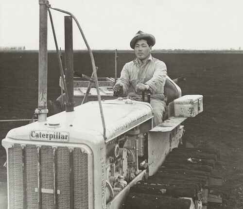 10/3, Fresno: The Incredible History of Nikkei Farmers in the San Joaquin Valley image