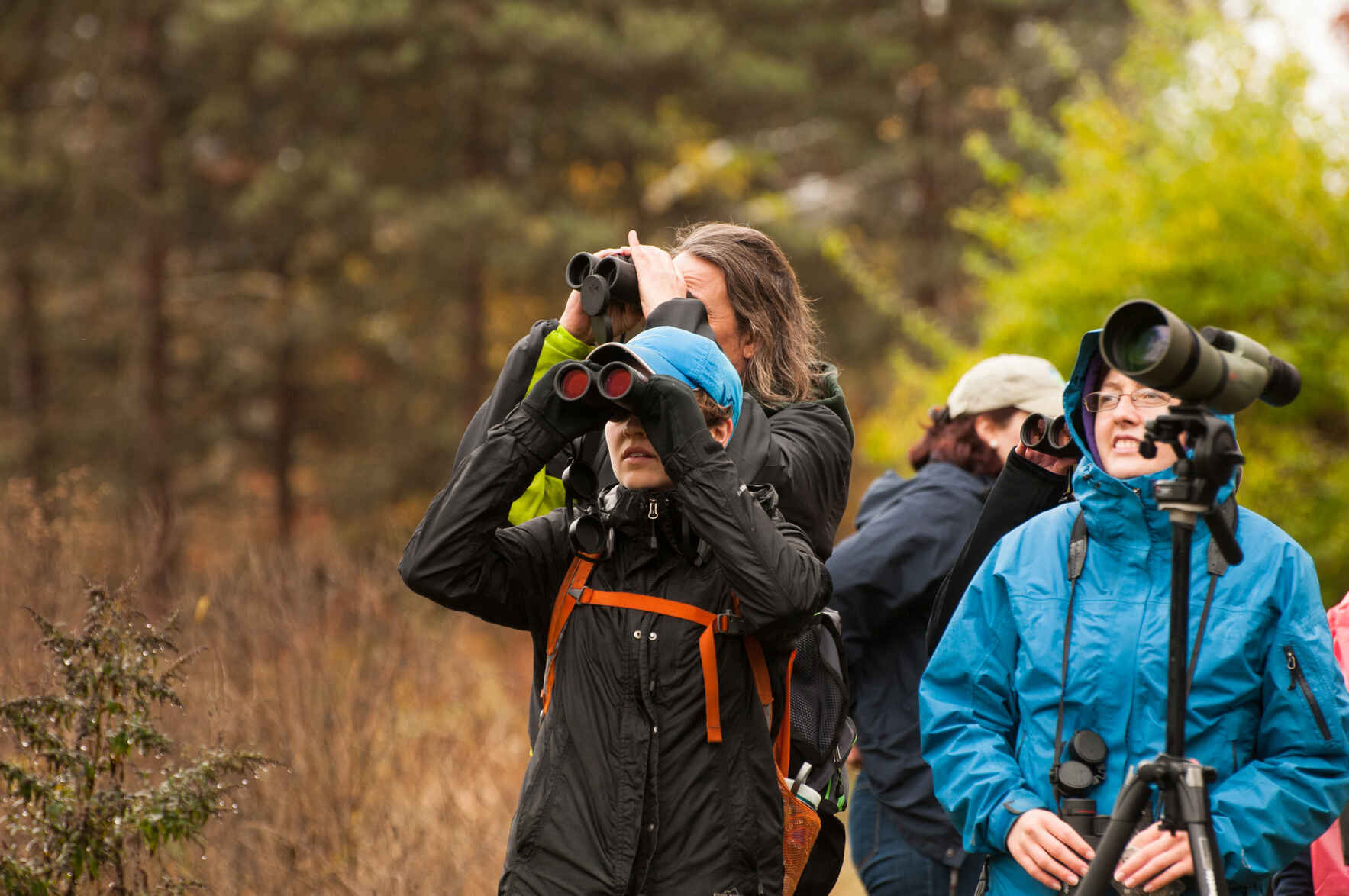 Science Stroll: Fall Migration image