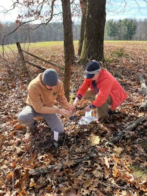 eDNA Mushroom Walk at Audubon Greenway image