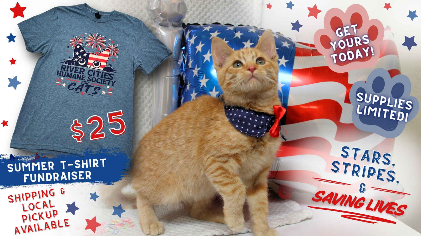 🇺🇸 Stars, Stripes & Saving Lives 🐾 image