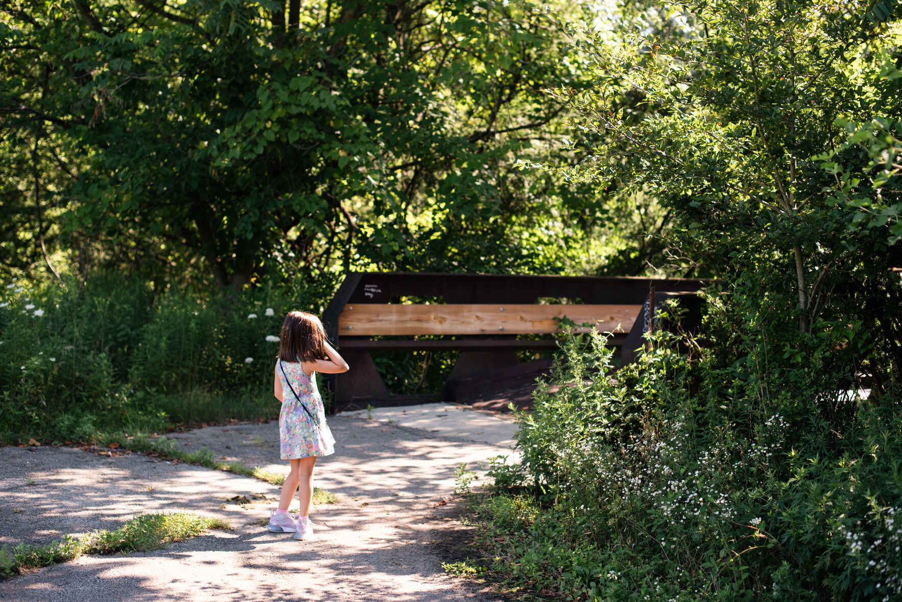 Virtual Public Info Session: Restoring Churchill Valley Greenway image