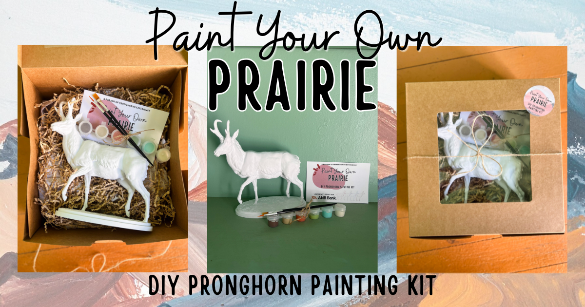 Paint Your Own Prairie Kit image