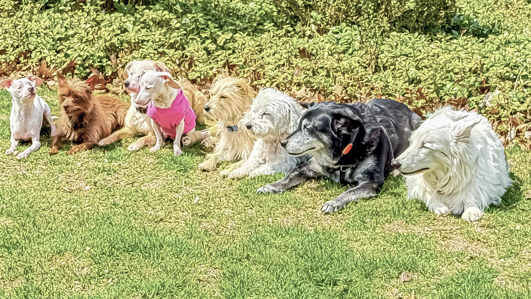 Celebrating Evie, Dean, Gina, and Susie! image
