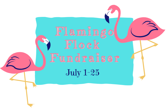 Flamingo Flock Fundraiser 2026 image