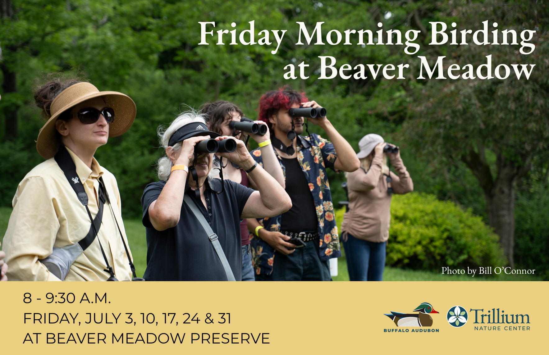 Friday Morning Birding - July 3rd image