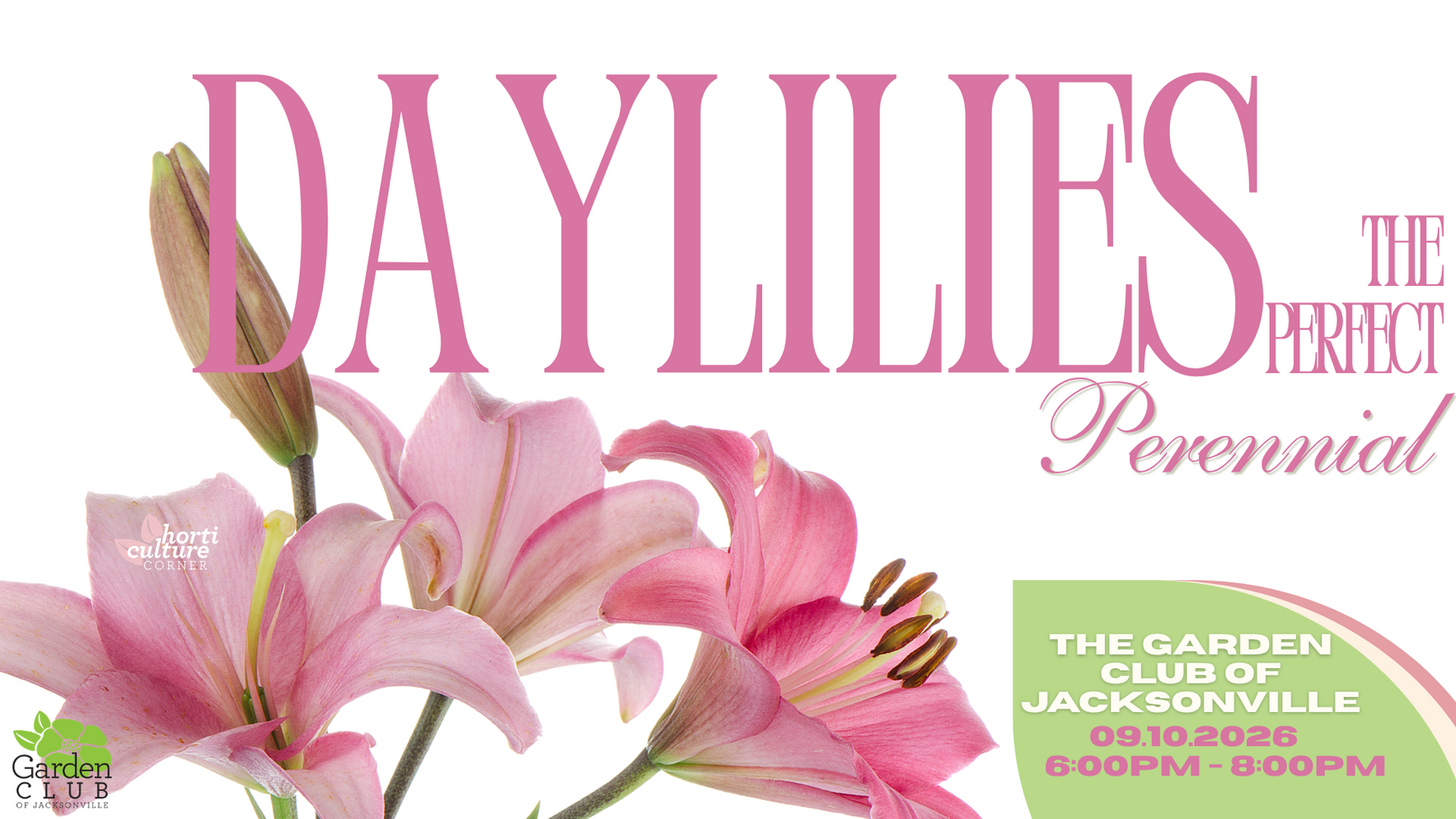 Daylilies - The Perfect Perennial  image
