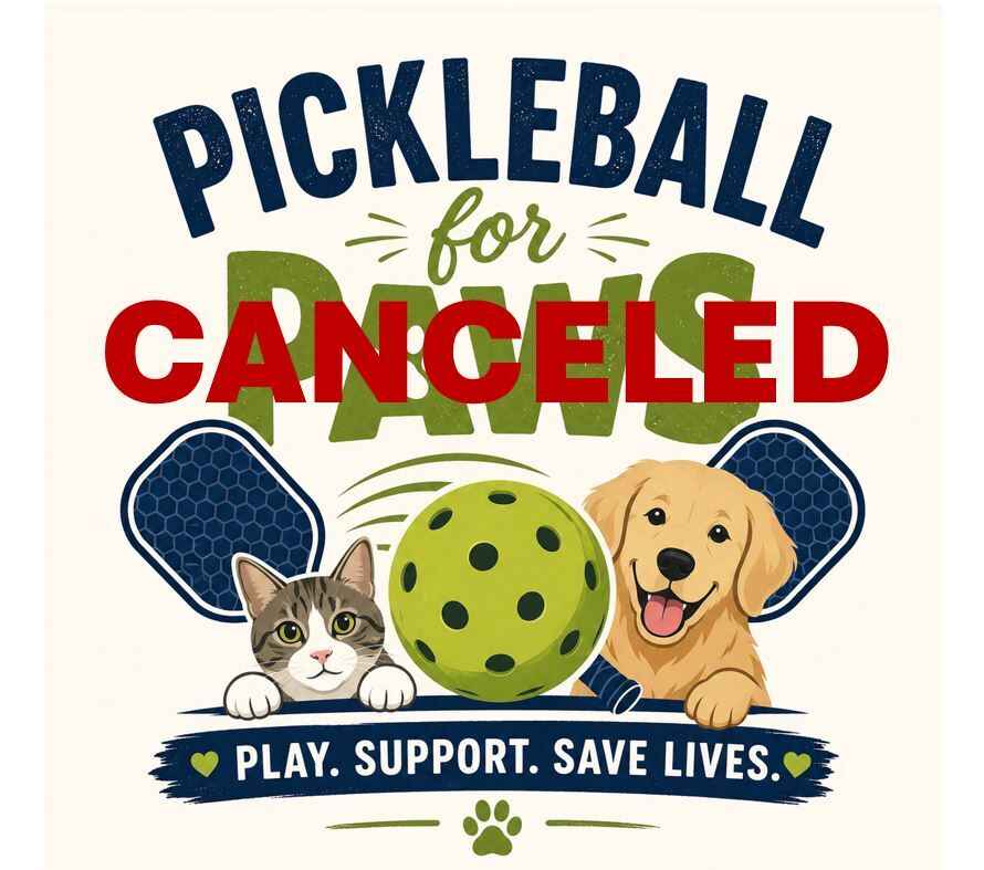 Pickleball for Paws: Skill Level 3.5-4.5 Intermediate/Advanced image