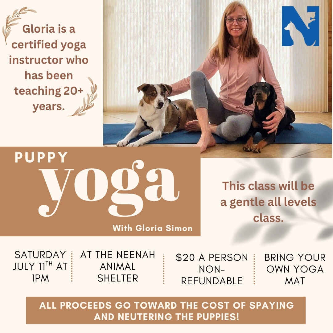 Puppy Yoga! image