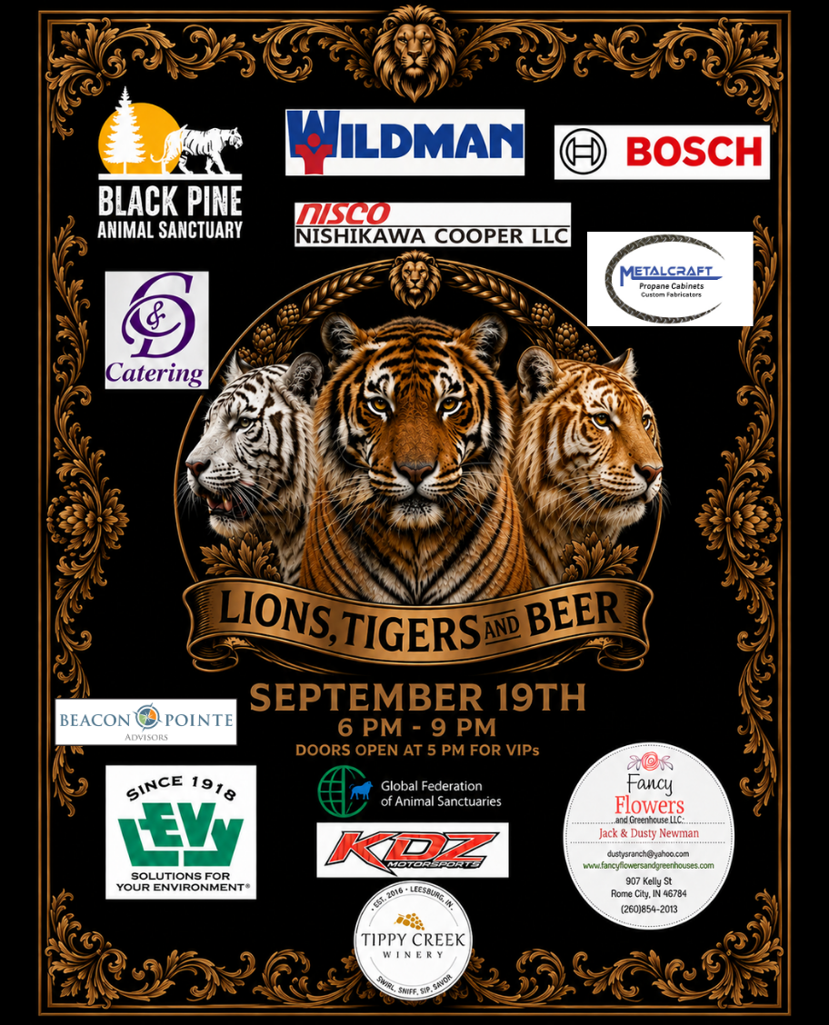 Lions, Tigers and Beer 2026 image