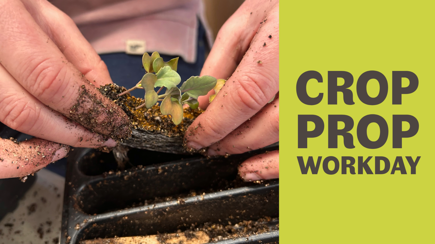 Crop Prop Workday - August 27, 2026 image
