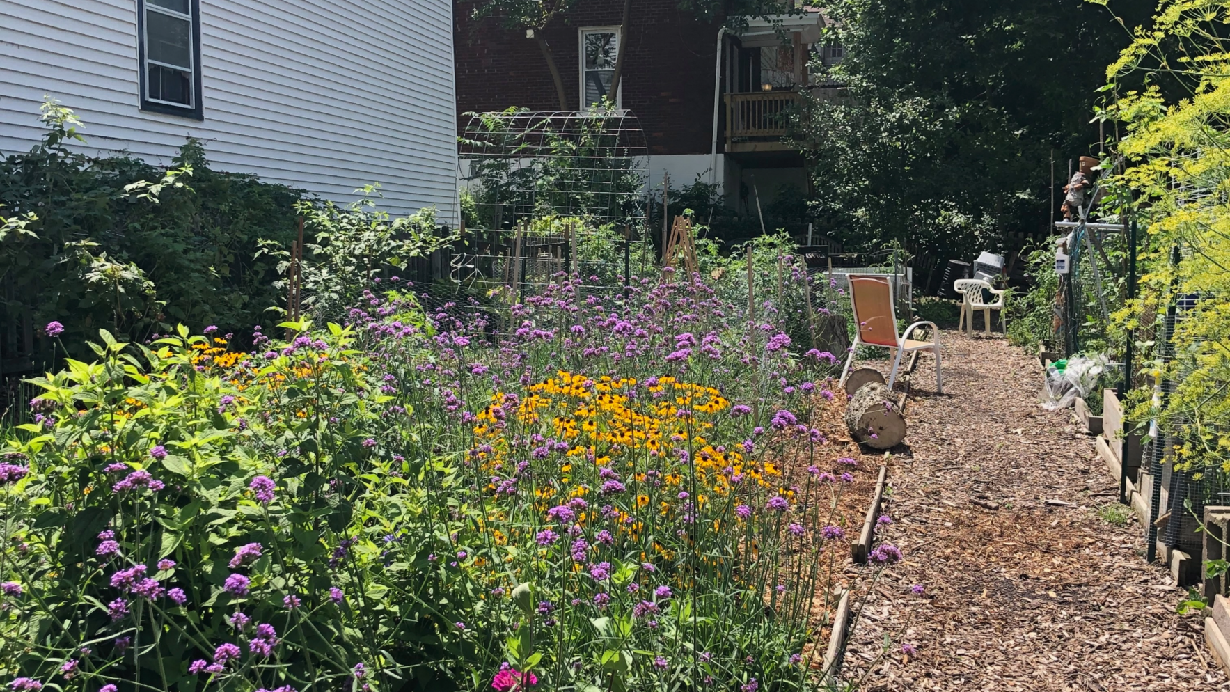 Holloway Hope Community Garden Workdays image