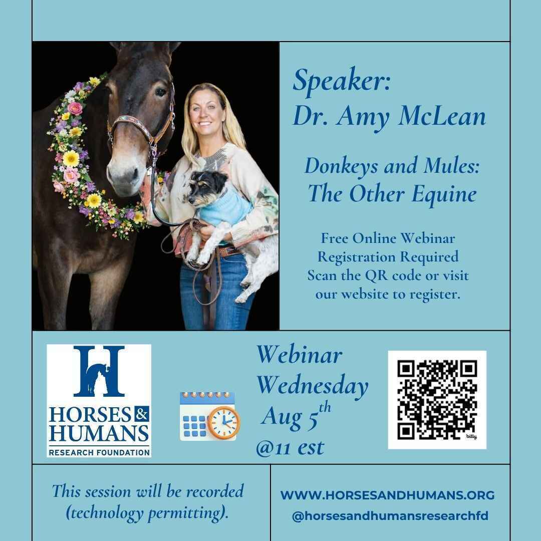 Donkeys and Mules: The Other Equine image